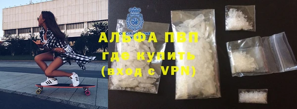 индика Арсеньев