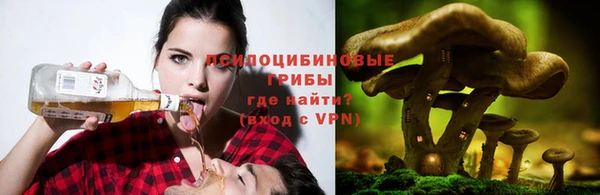 индика Арсеньев