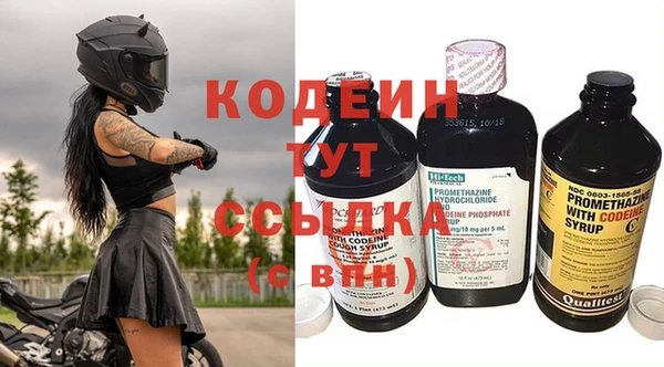 индика Арсеньев