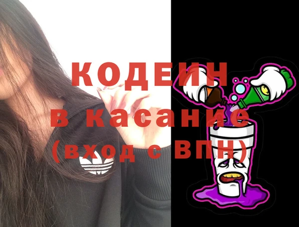 индика Арсеньев