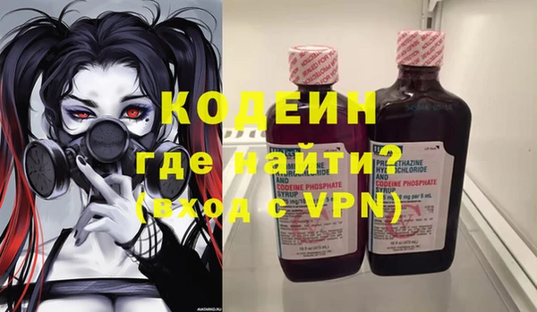 индика Арсеньев