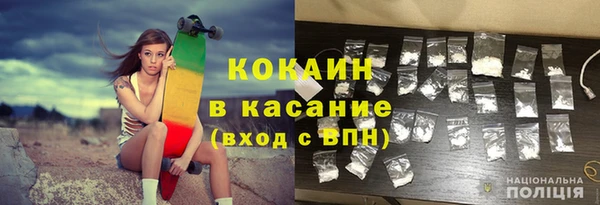 индика Арсеньев